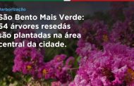 Projeto Mais Verde: árvores resedás são plantadas no centro da cidade